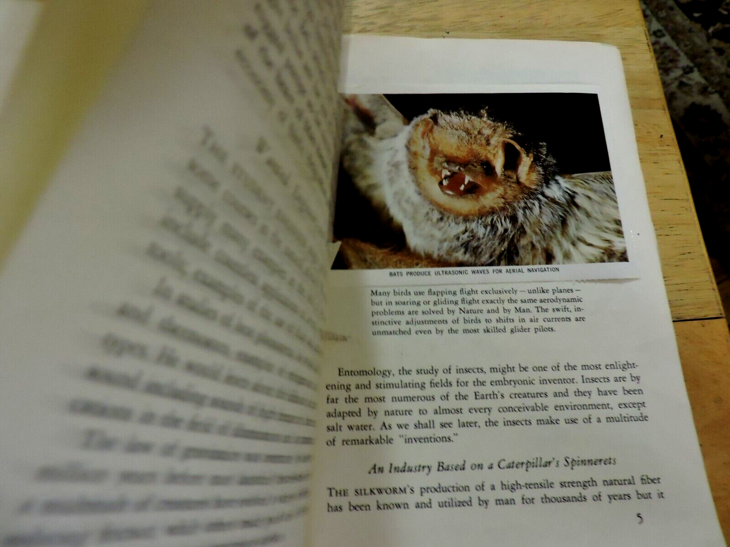 NATIONAL AUDUBON SOCIETY: NATURE PROGRAM, INVENTIONS IN NATURE 1959
