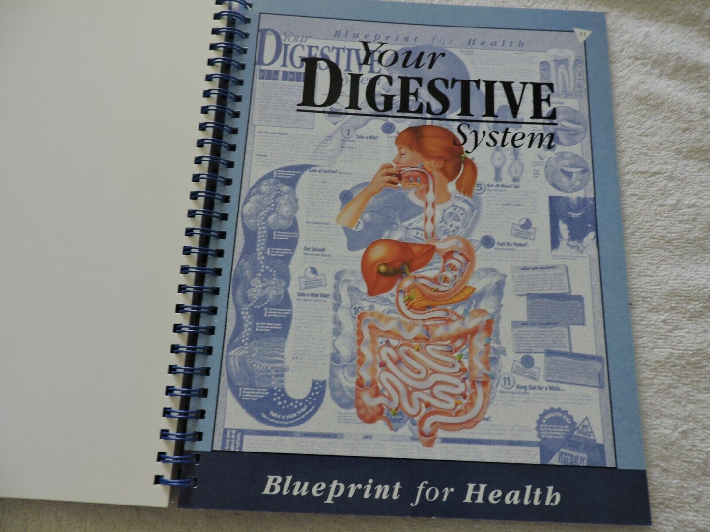 AN ILLUSTRATED ADVENTURE IN HUMAN ANATOMY KATE SWEENEY, 1996