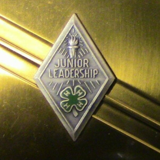 4 H Club: Junior Leadership Gold & Silver Metal Plaque