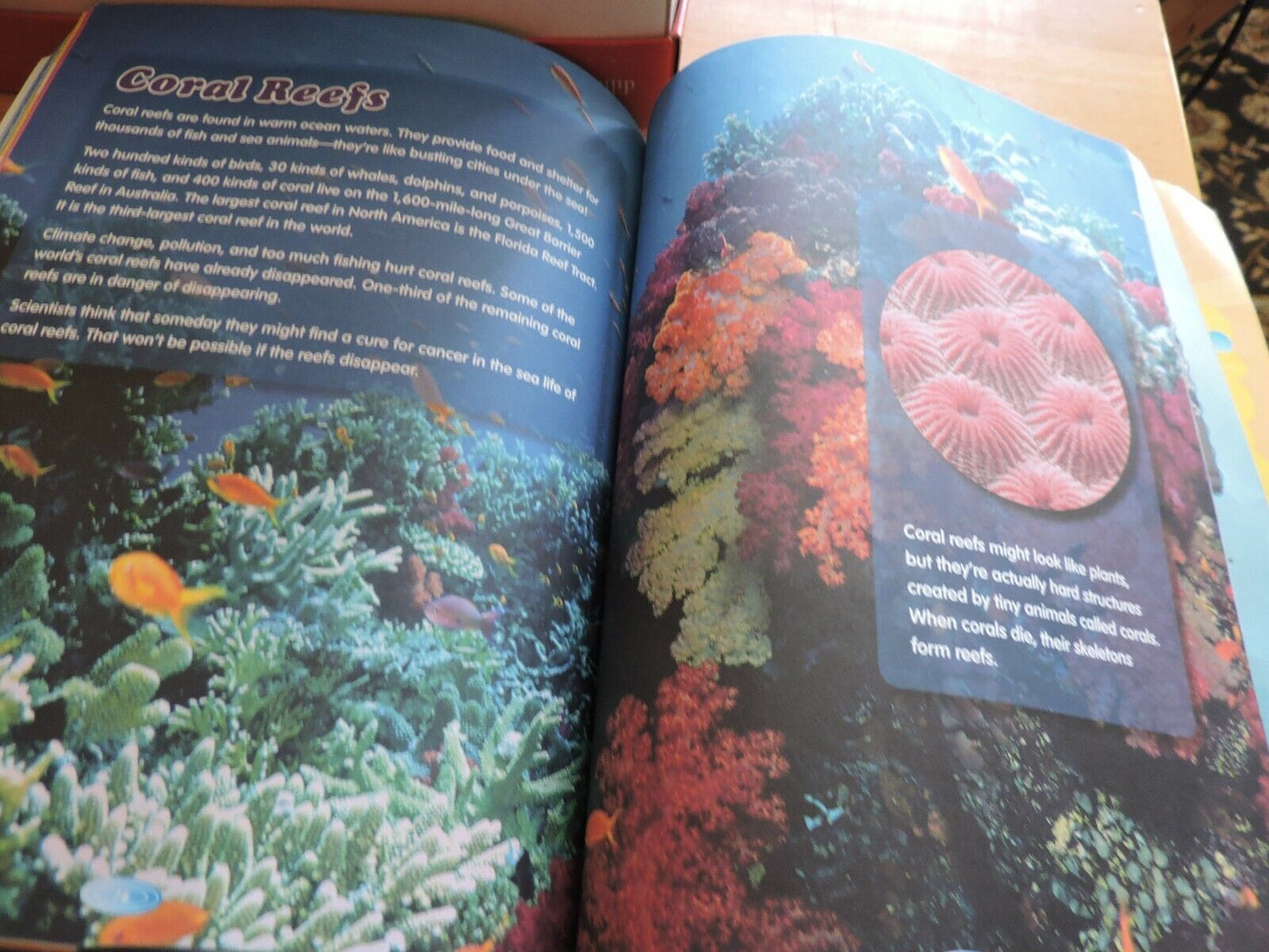 GIRL SCOUT WONDERS OF WATER--ITS YOUR PLANET LOVE IT   2009