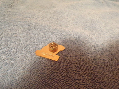 #15 Waltrip Lapel Pin