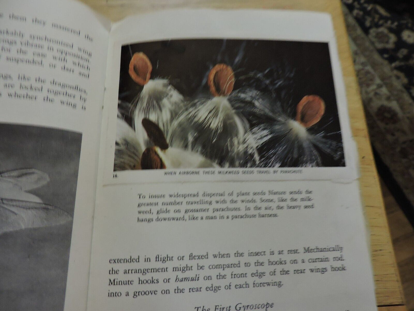 NATIONAL AUDUBON SOCIETY: NATURE PROGRAM, INVENTIONS IN NATURE 1959