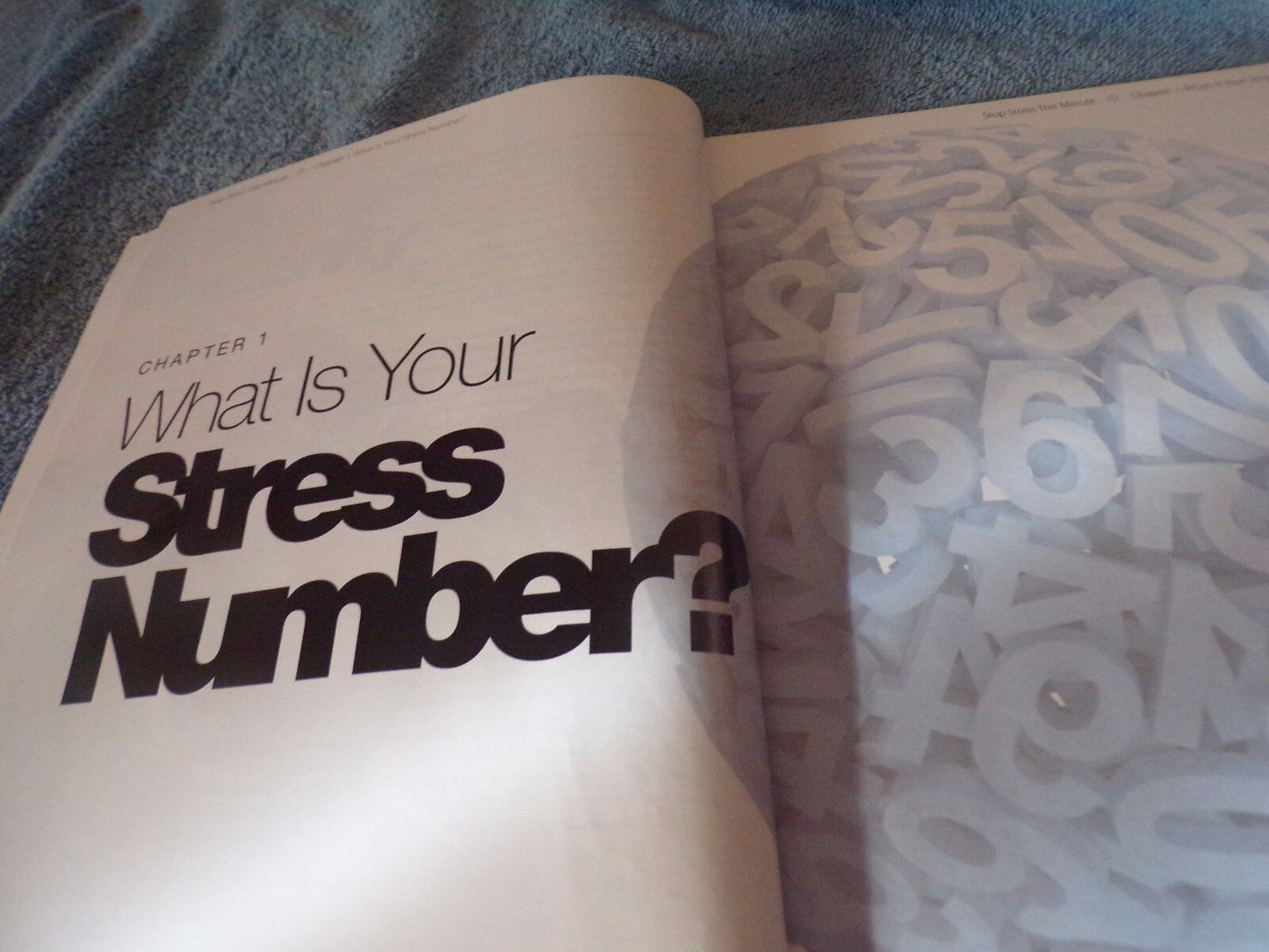 Stop Stress This Minute by the Wellness Council of America
