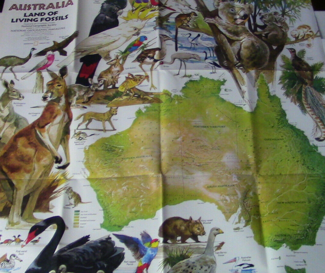 The National Geographic Magazine Map of Australia (Land of the Living Fossils)