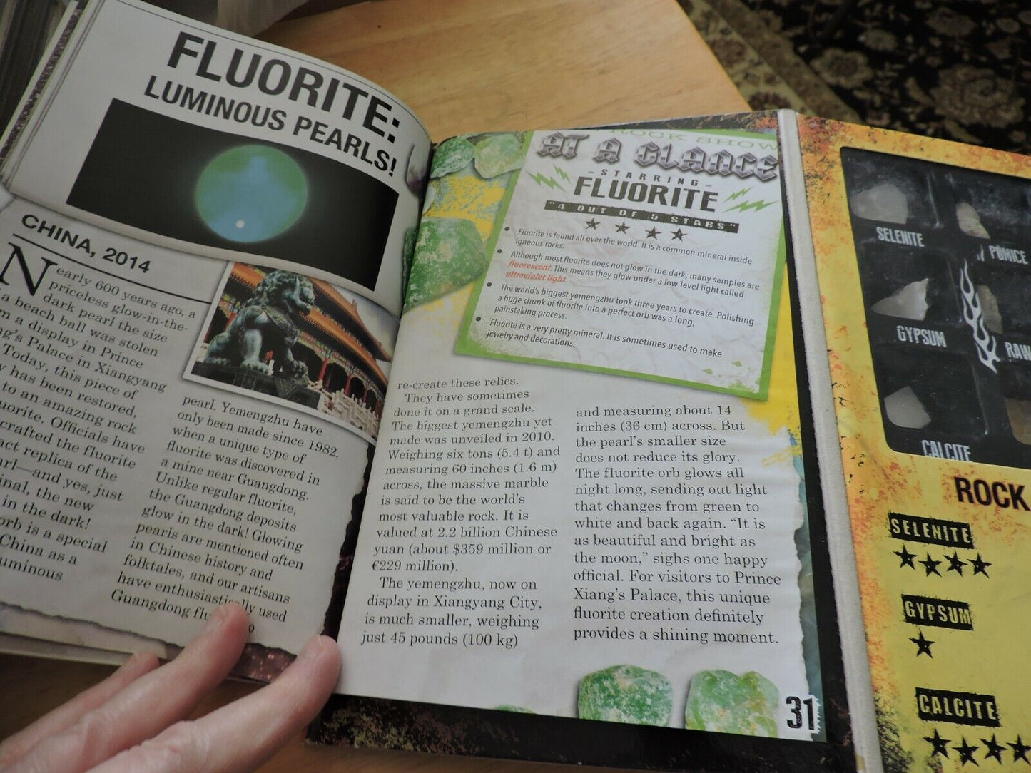 ROCK STARS! SCHOLASTIC BOOK WITH COLLECTION OF 9 ROCKS 2015