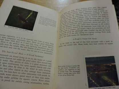 NATIONAL AUDUBON SOCIETY: NATURE PROGRAM, POND LIFE 1958
