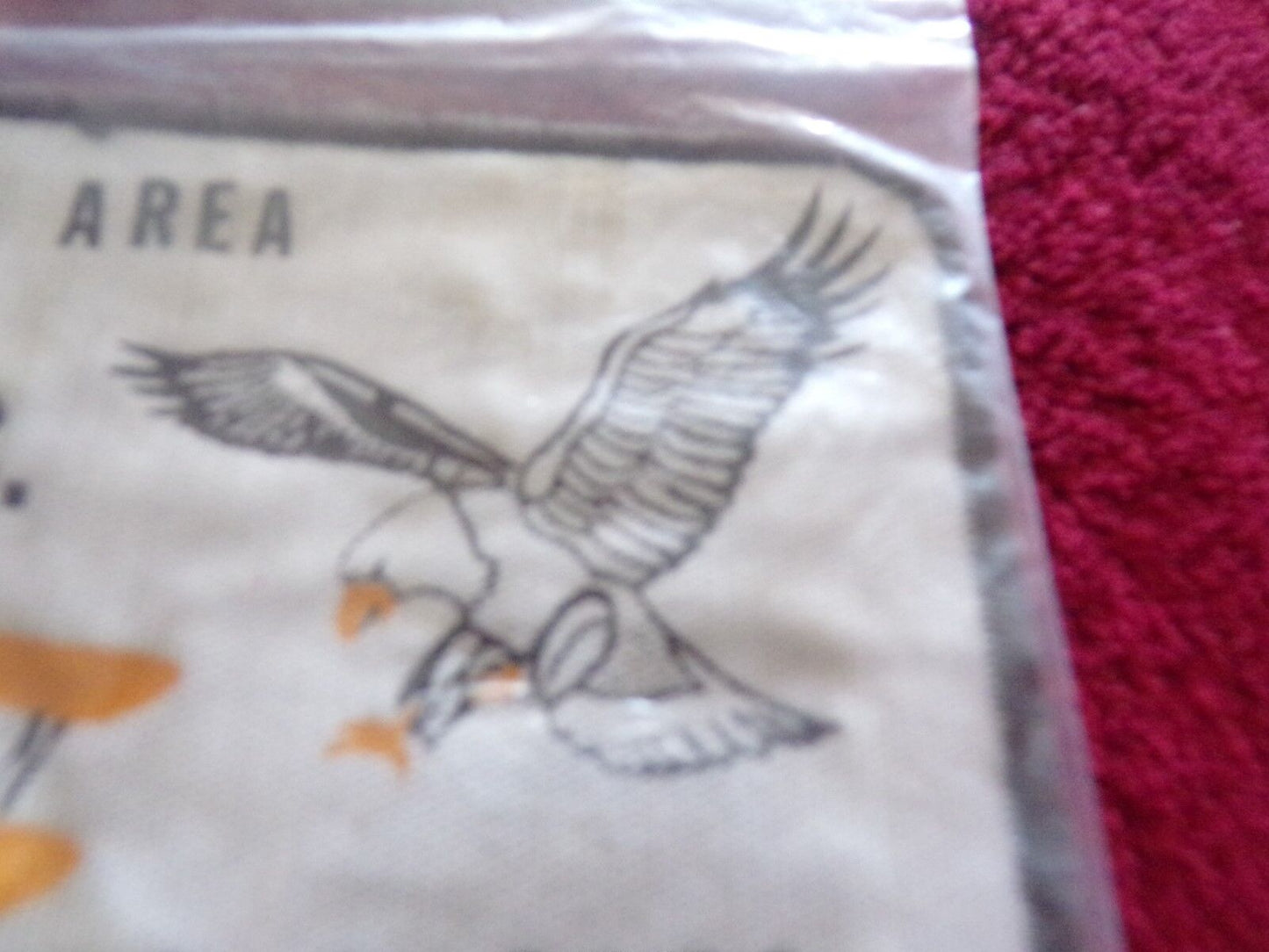 Shasta Area (California) R.C. Flying Eagles