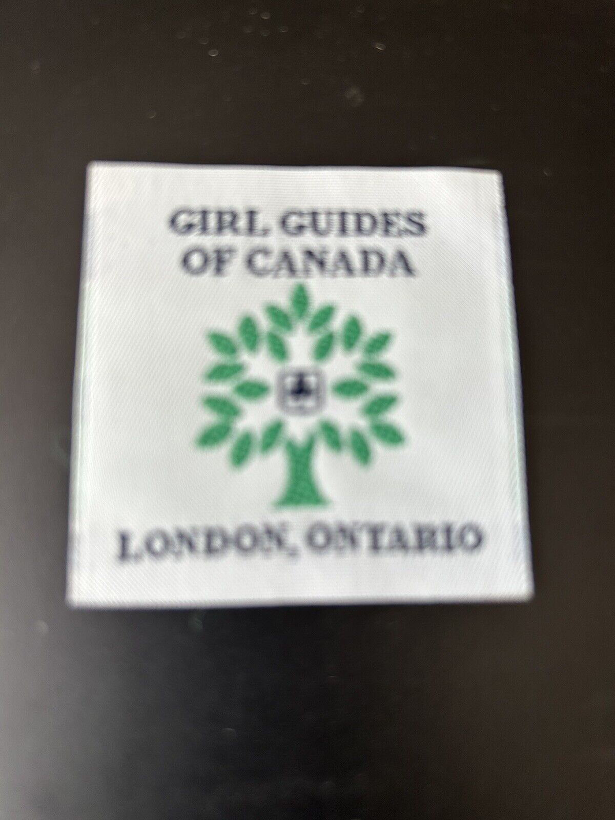 Official Girl Guides-Canada: Girl Guides Canada. London Ontario Patch