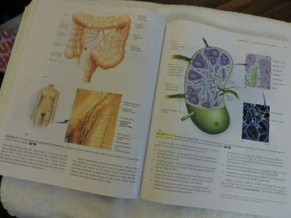 ANATOMY PHYSIOLOGY  THE UNITY OF FORM AND FUNCTION, SALADIN