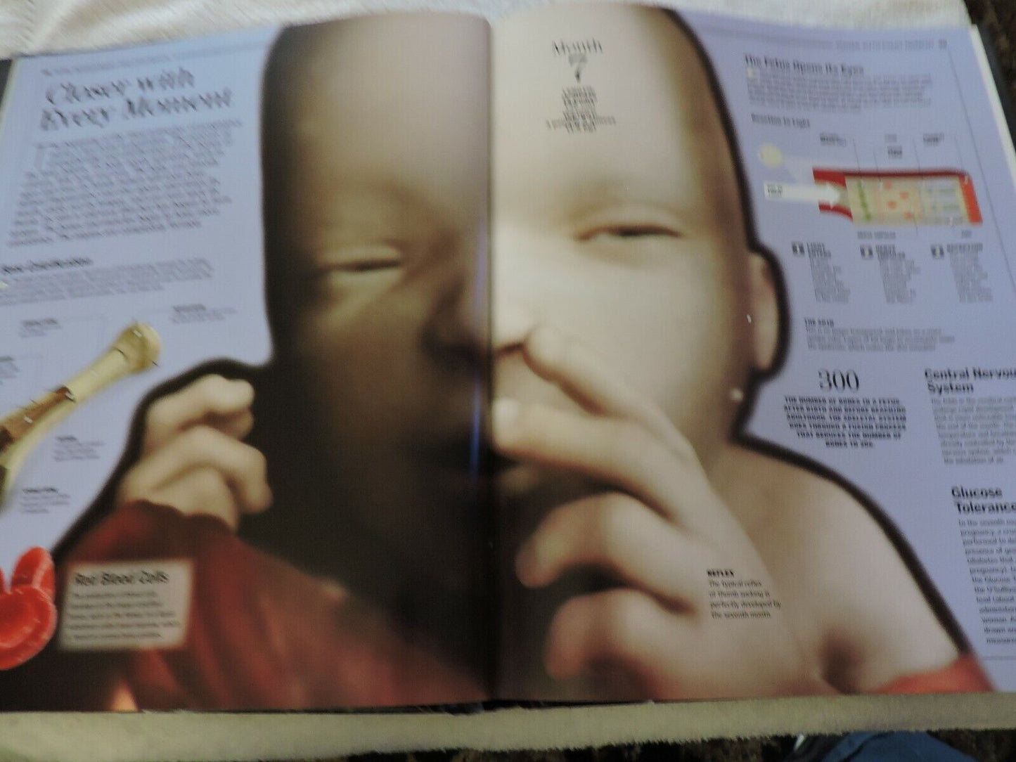 THE HUMAN BODY: A FAMILY REFERENCE GUIDE  2012