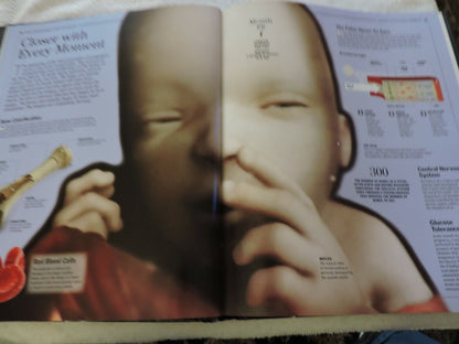THE HUMAN BODY: A FAMILY REFERENCE GUIDE  2012