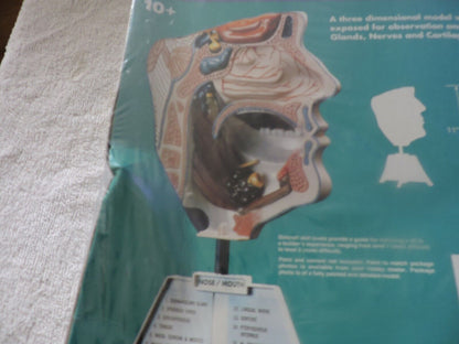 SKILCRAFT: NOSE/MOUTH ANATOMICALLY ACCURATE UNASSEMBLED  MODEL KIT-- NIB-- SKILL