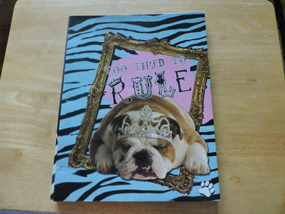 Set of 5 School Folders: Disney Fairies, Doggie Princess, Harajuku Mini