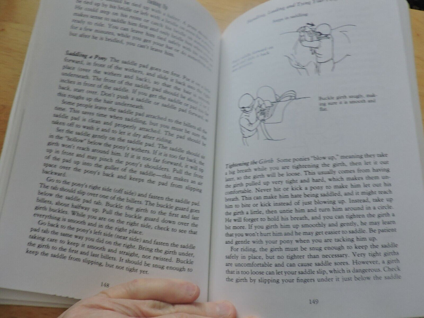 The United States Pony Club Manual of Horsemanship : Basics for Beginners