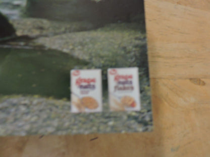 RAND McNALLY NAURE GUIDE FROM GRAPE NUTS EATERN EDITION 1985