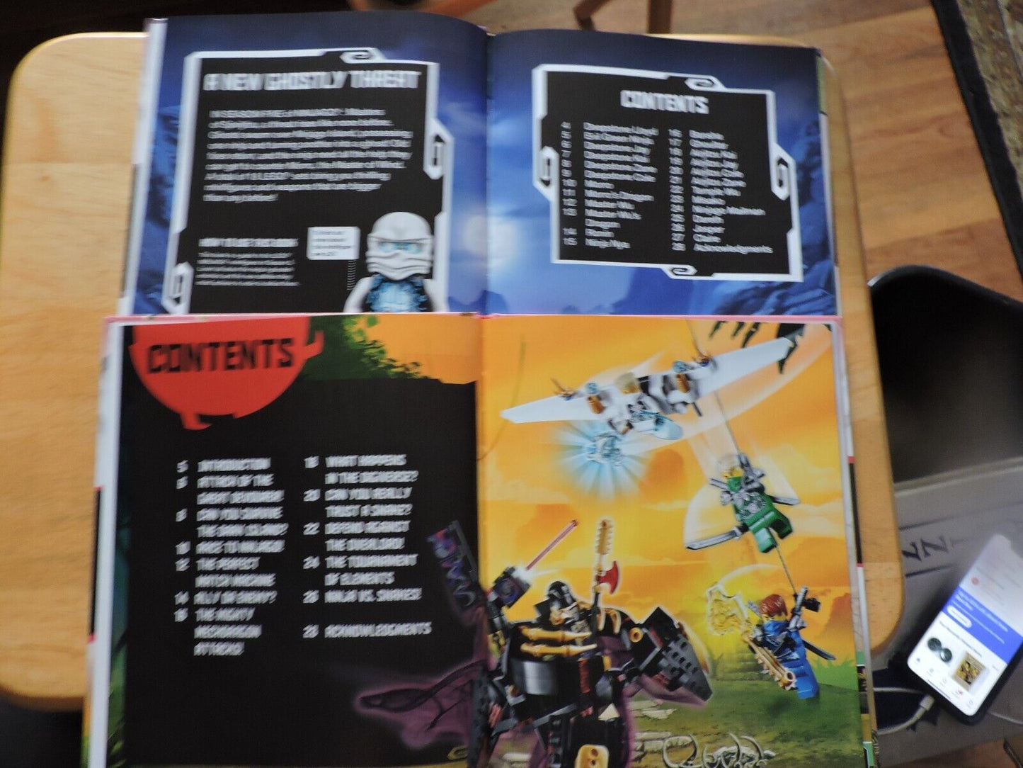 LEGO NINJAGO 2 BOOKS: NINJA BATTLES & NINJA VS. GHOST NINJA