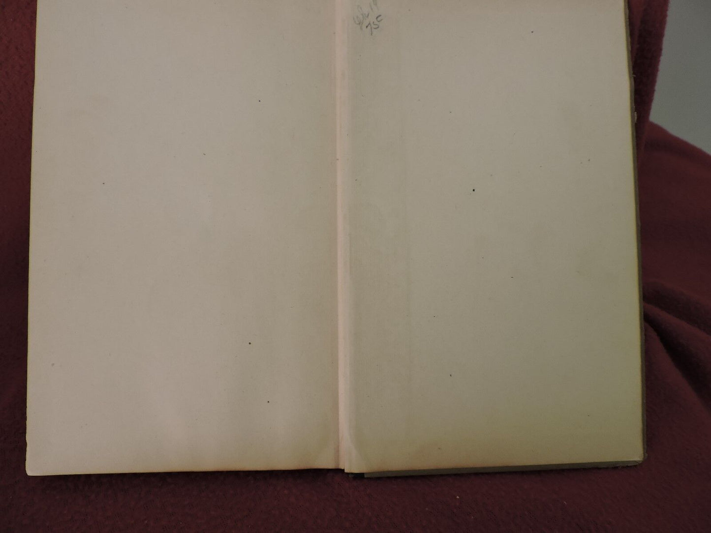 THE RED FLOWER BY HENRY VAN DYKE 1919-Written during WW 1
