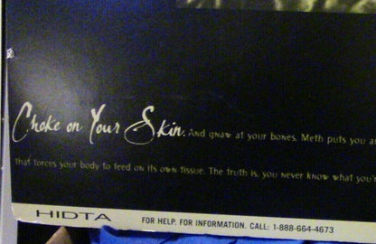 Advertising Piece: HIDTA-"Meth puts your Body Through a Living Hell" -19" X 25"