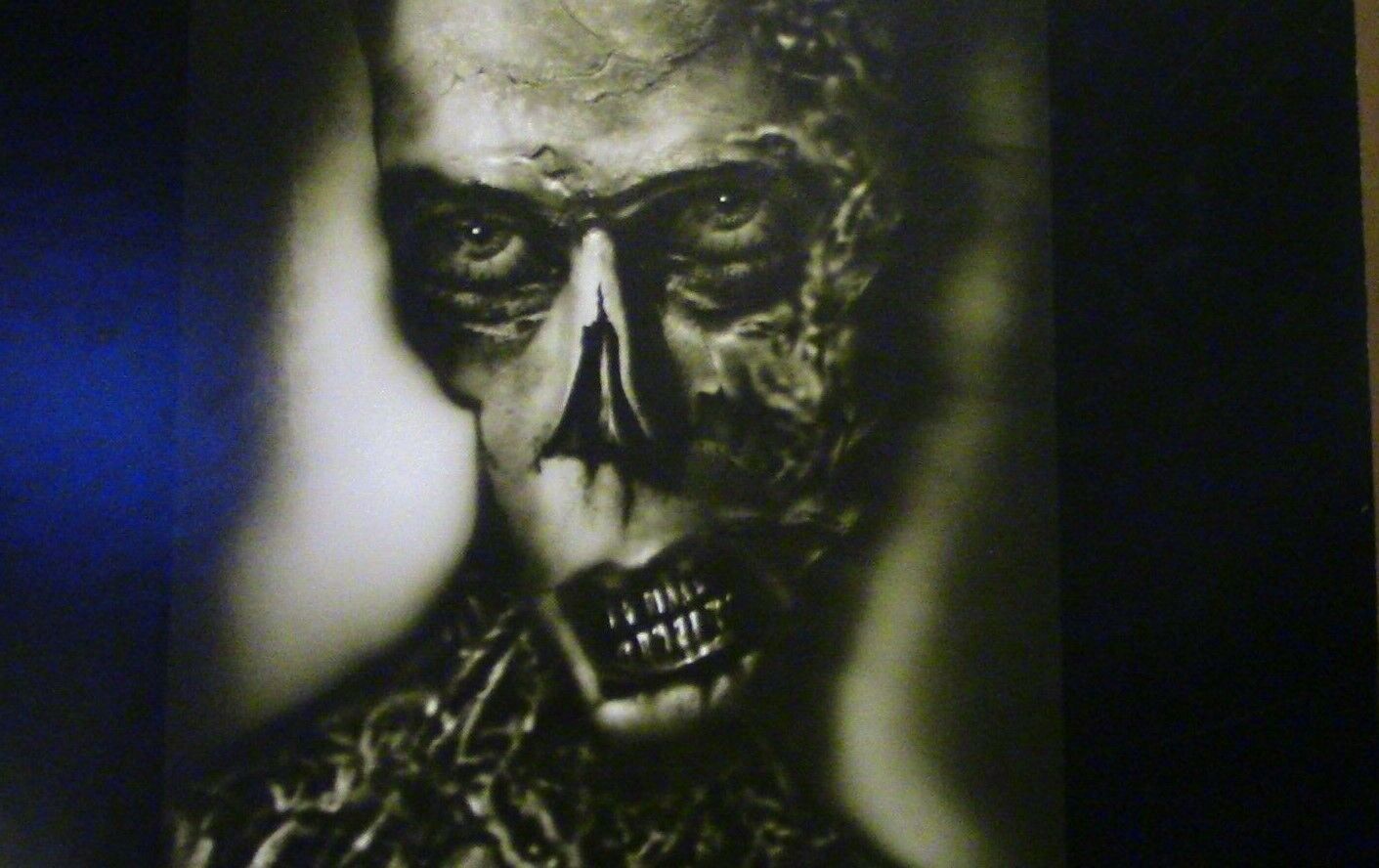 Advertising Piece: HIDTA-"Meth puts your Body Through a Living Hell" -19" X 25"
