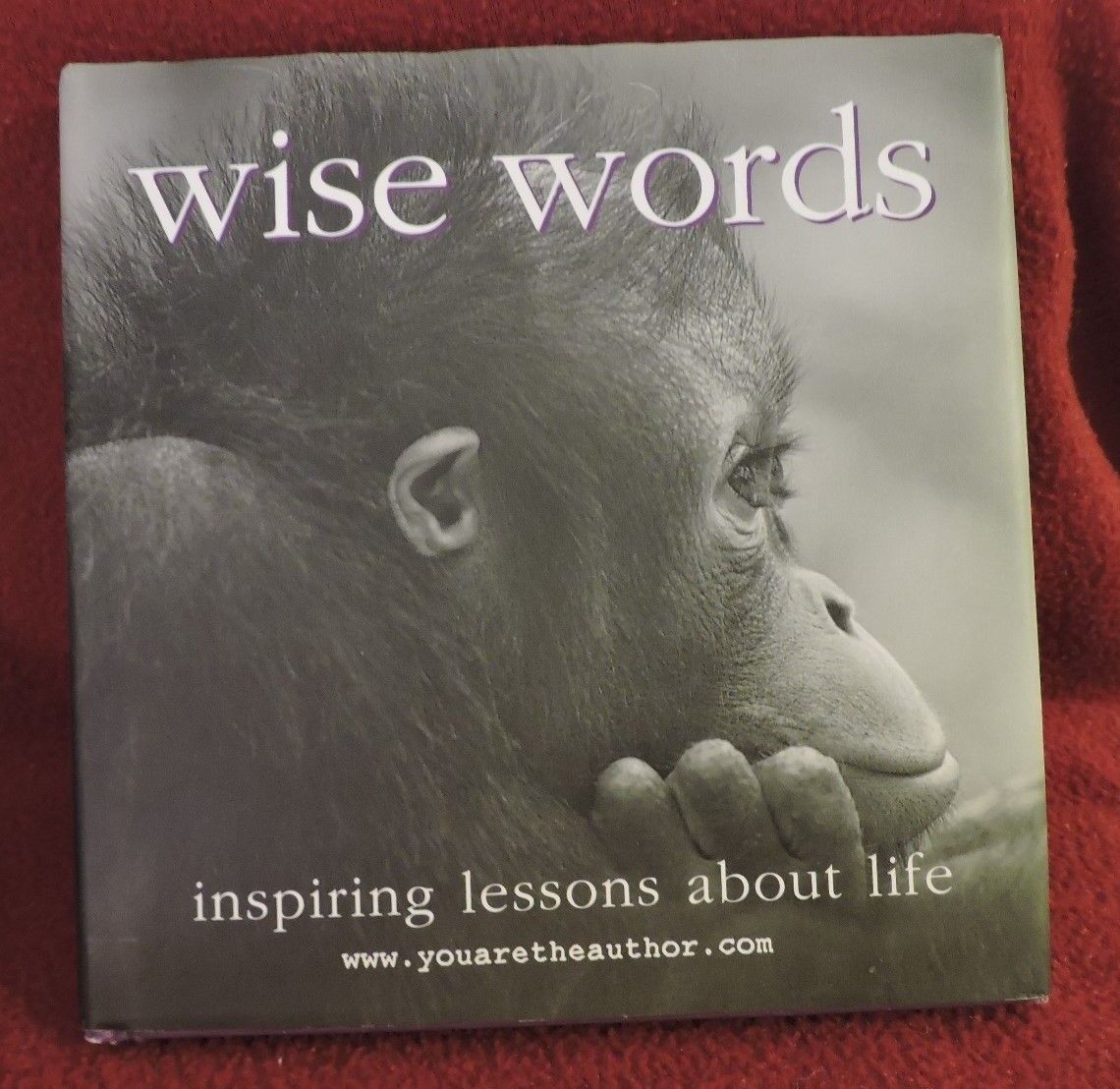 2002 WISE WORDS inspiring lessons about life Book by www.youaretheauthor.com