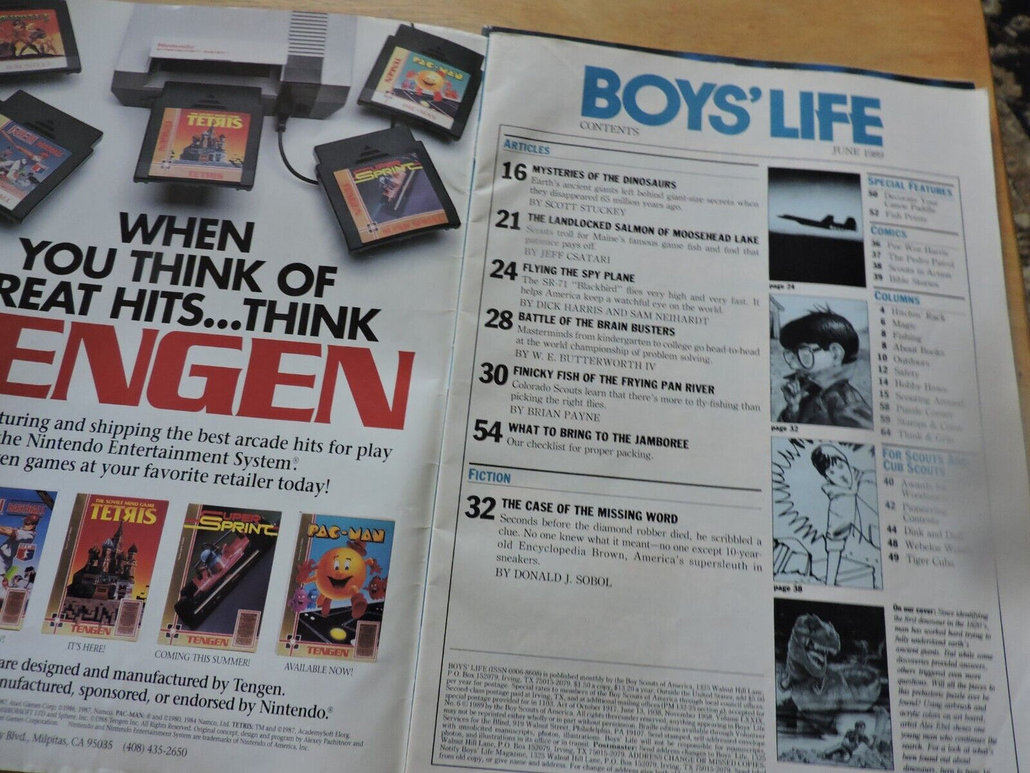 BOYS' LIFE MAGAZINE: JUNE 1989 SECRETS OF THE TERIBLE LIZARDS