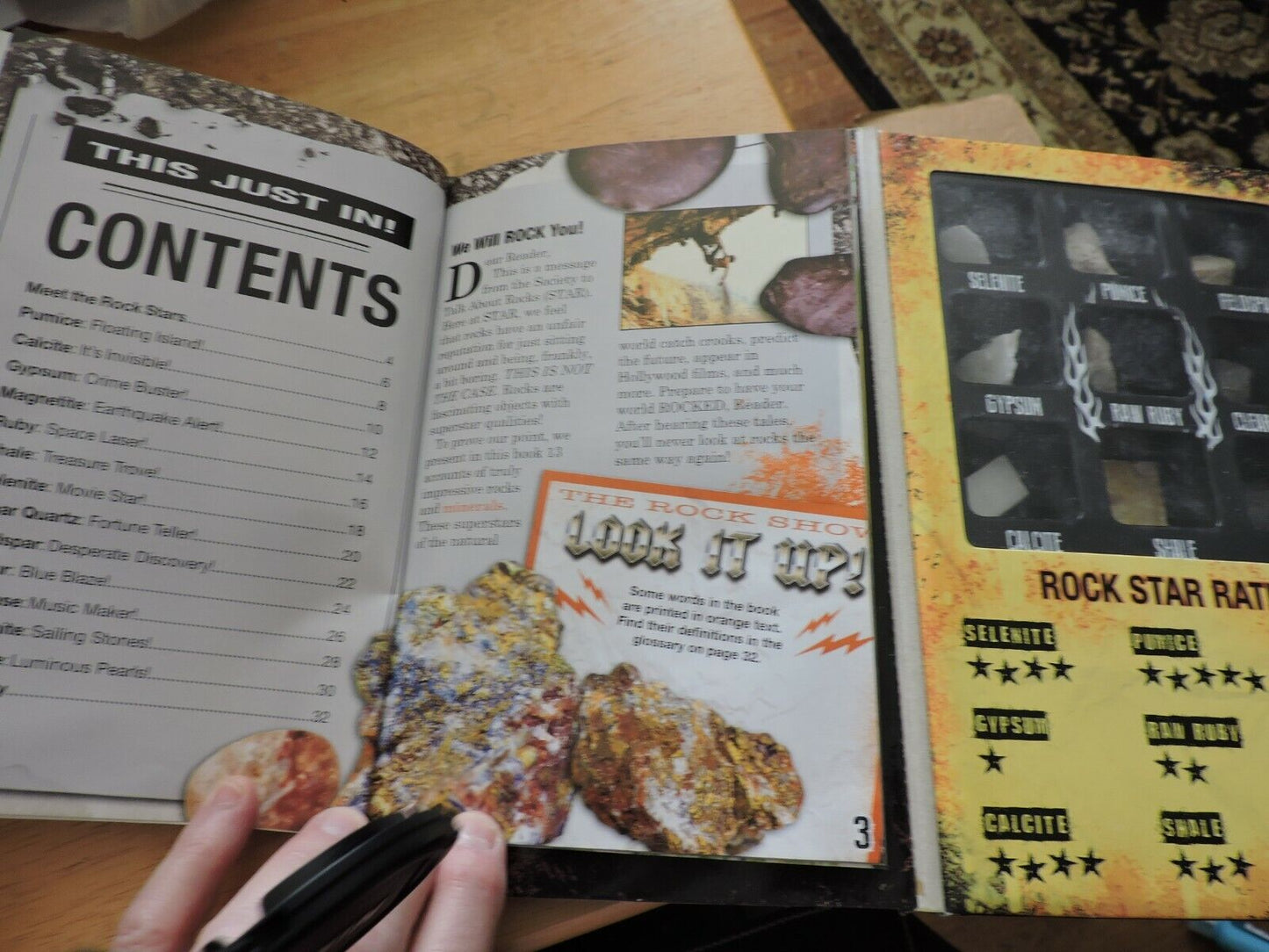 ROCK STARS! SCHOLASTIC BOOK WITH COLLECTION OF 9 ROCKS 2015