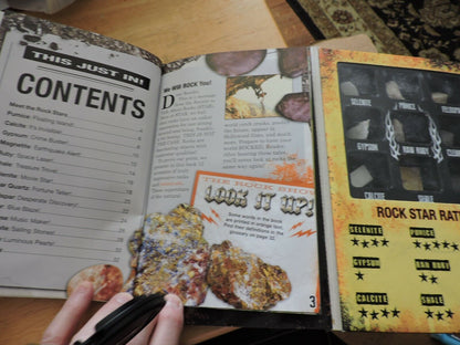 ROCK STARS! SCHOLASTIC BOOK WITH COLLECTION OF 9 ROCKS 2015