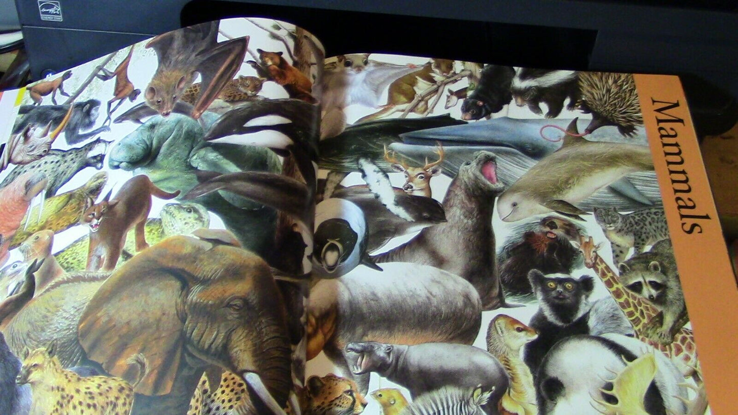 Encyclopedia of Animals (2007 Printing) Colorful Pictures