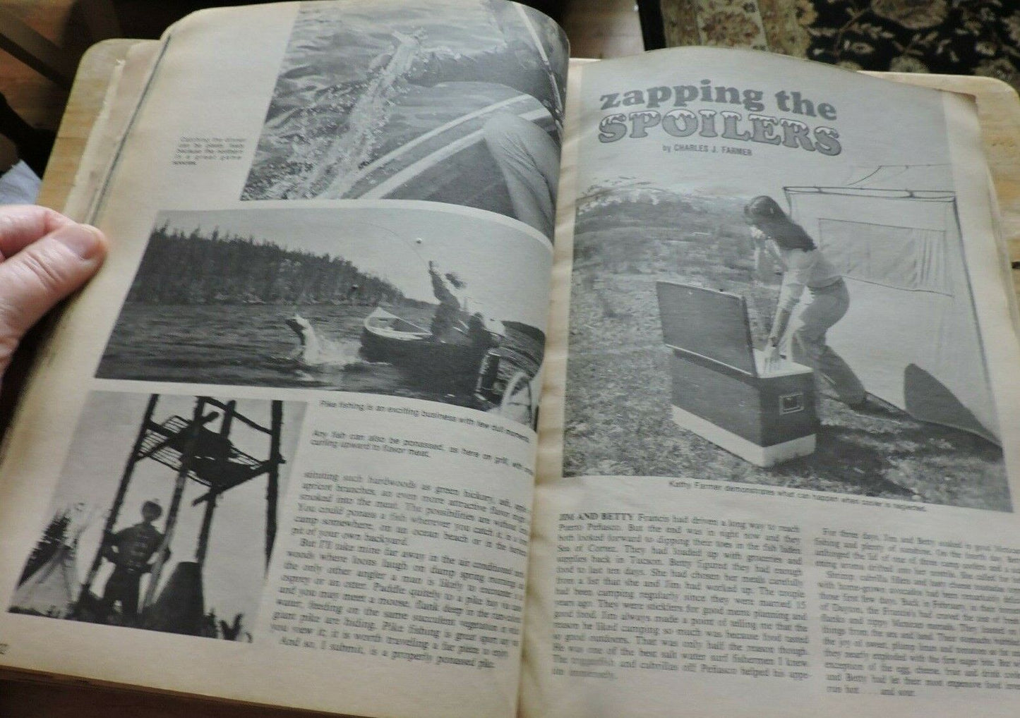 CAMPGROUND COOKING