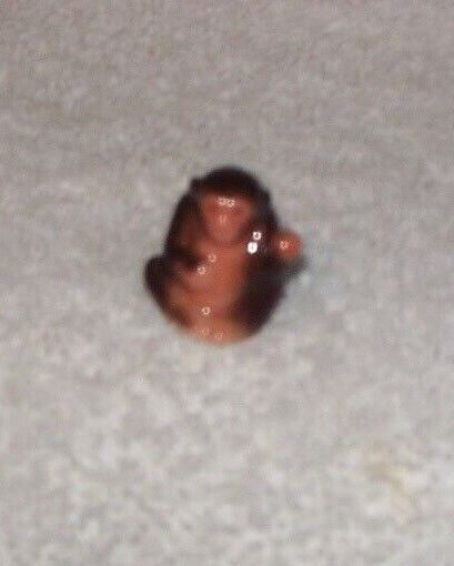 Authentic Bone China Chimpanzee, Created by the Bug House, New