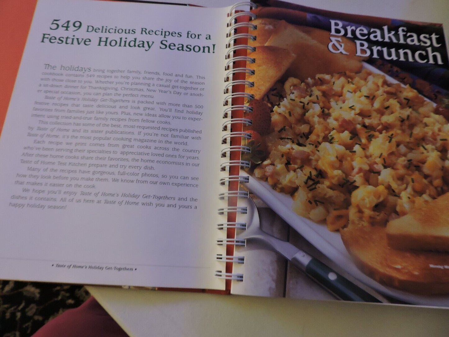 TASTE OF HOME'S HOLIDAY GET-TOGETHERS 2006  540 FESTIVE RECIPES