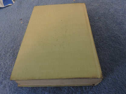 The Bobbsey Twins At Snowlodge by Laura Lee Hope, 1913 printing