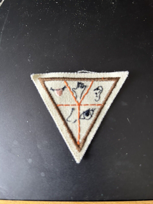 Girl Scout Brownies Try IT Badge Patch