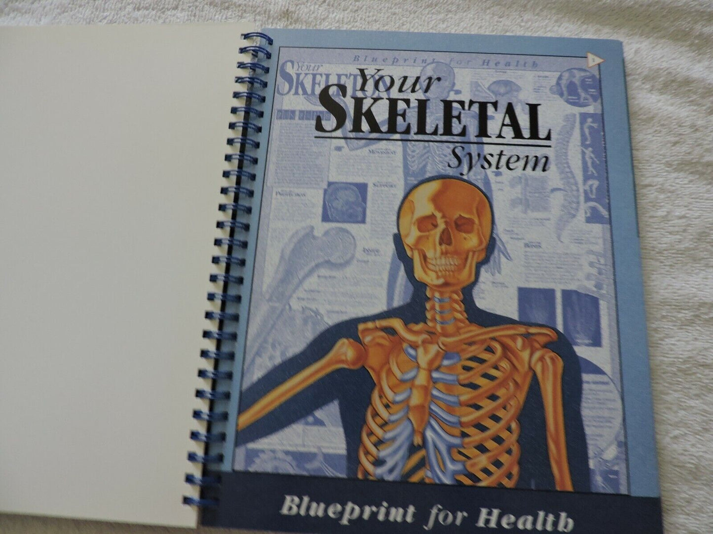 AN ILLUSTRATED ADVENTURE IN HUMAN ANATOMY KATE SWEENEY, 1996