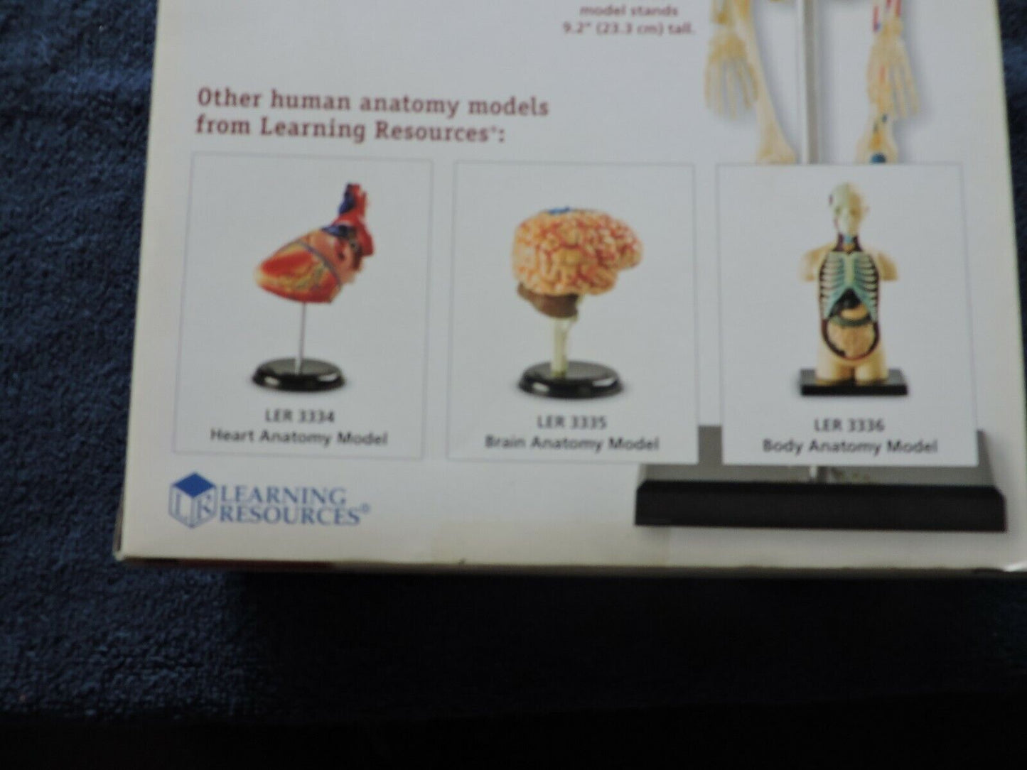 HUMAN ANATOMY MODEL 41 PIECE NIB--AGES 8+