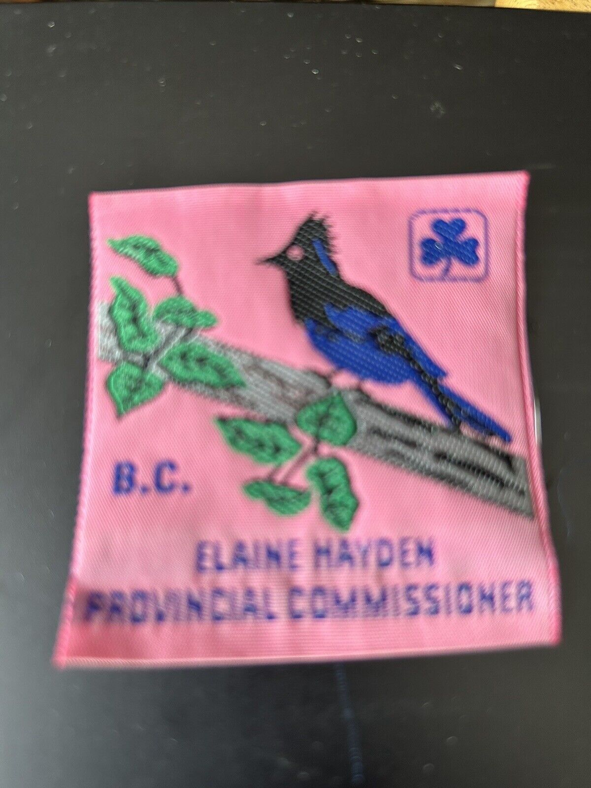 Official Girl Guides-Canada: BC Elain Hayden Provincial Commissioner Patch