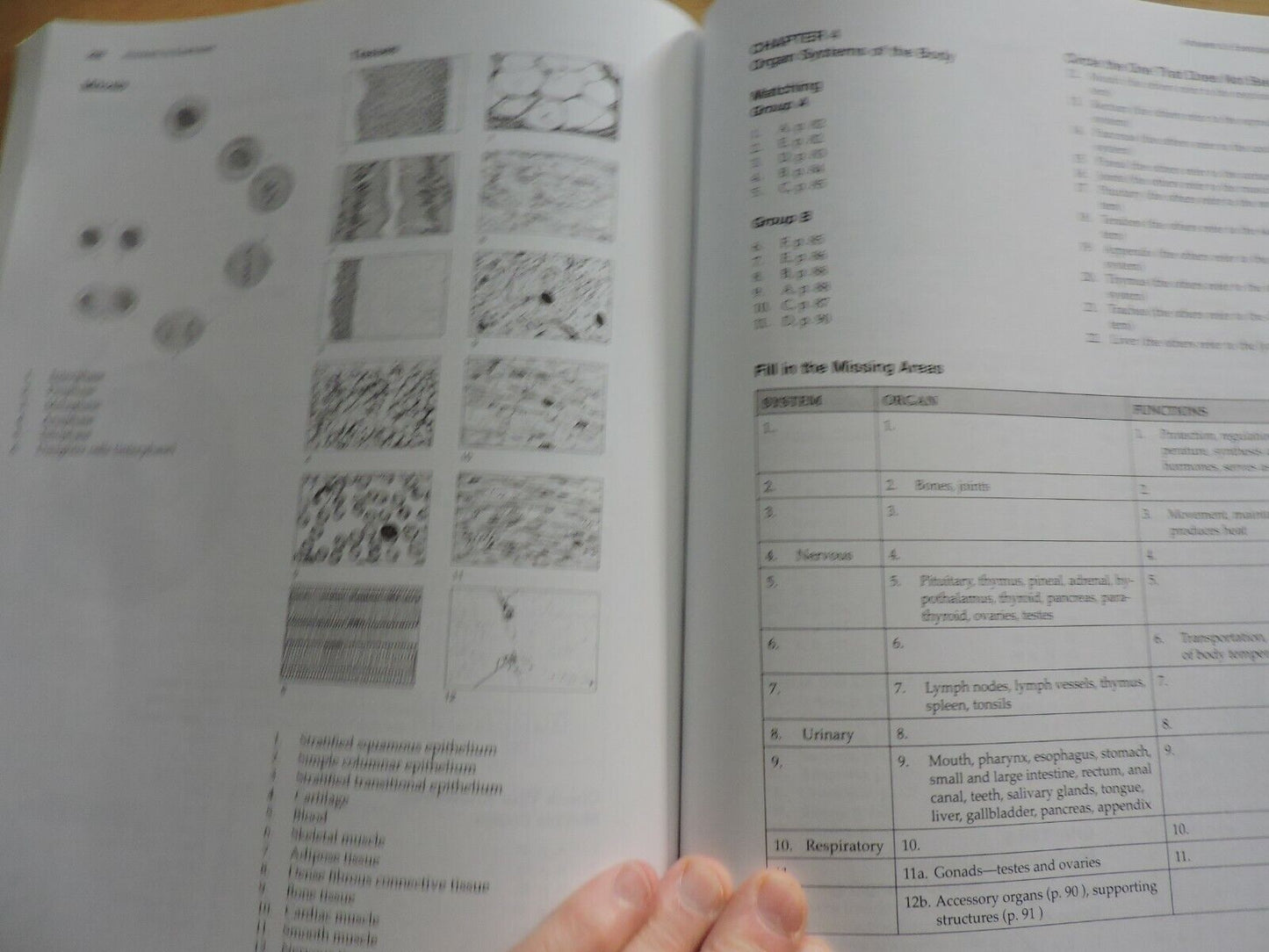 THE HUMAN BODY IN HEALTH & DISEASE 5TH EDITION, 2010