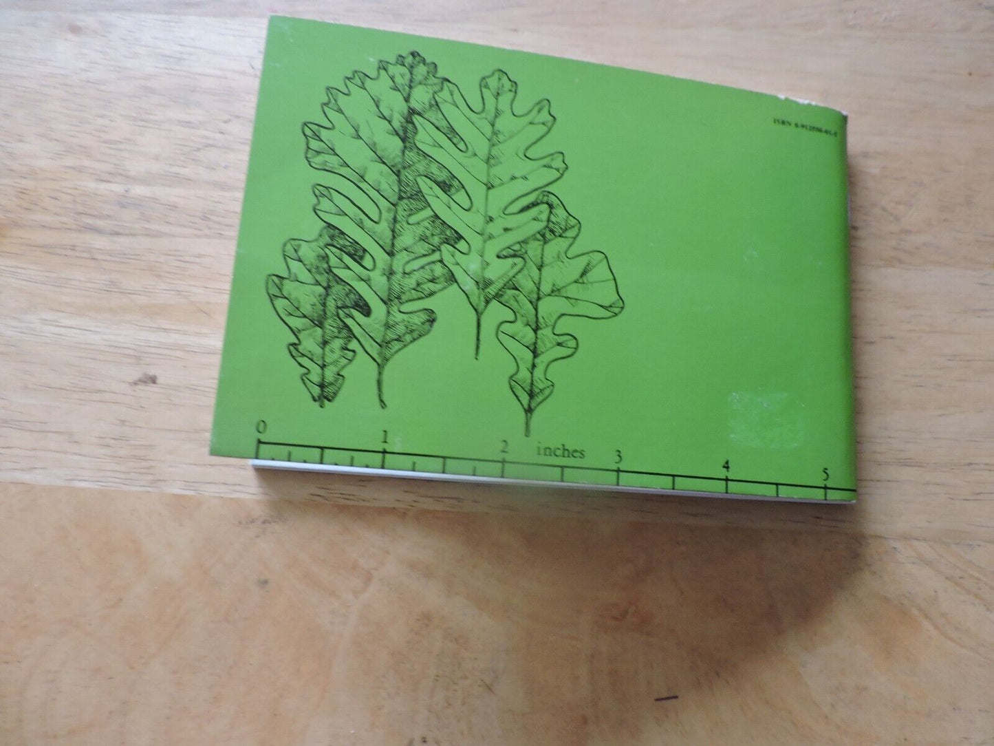 TREE FINDER- IDENTIFICATION OF TREES BY THEIR LEAVES  BY MARY THEILGURARD WATTS