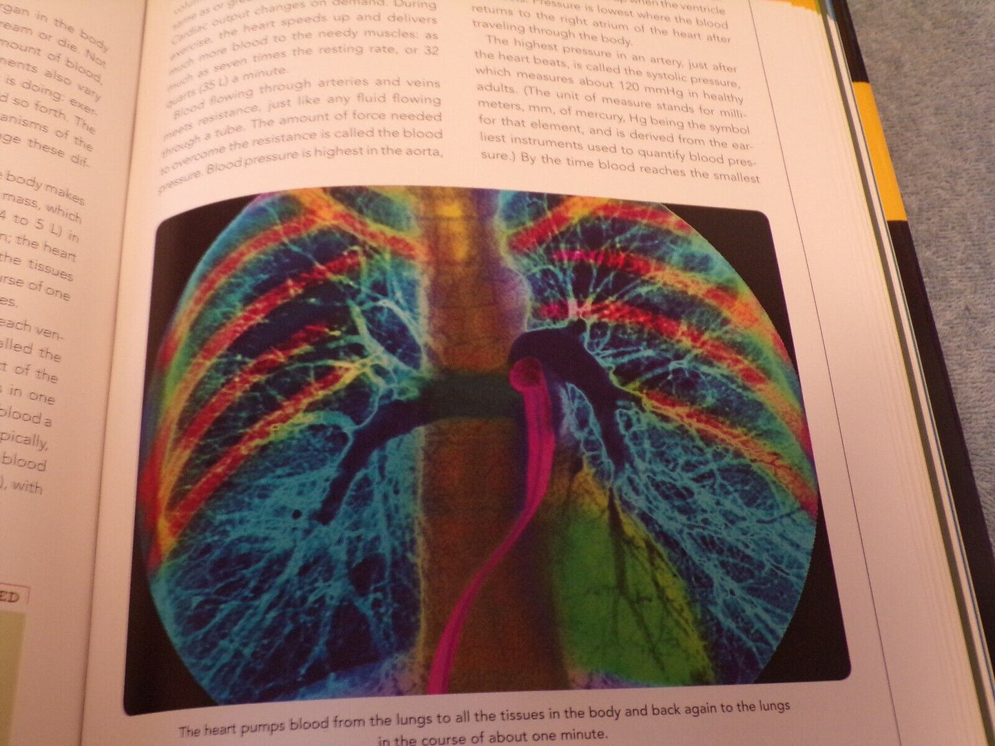 The Body, Revised Edition : A Complete User's Guide by Patricia Daniels