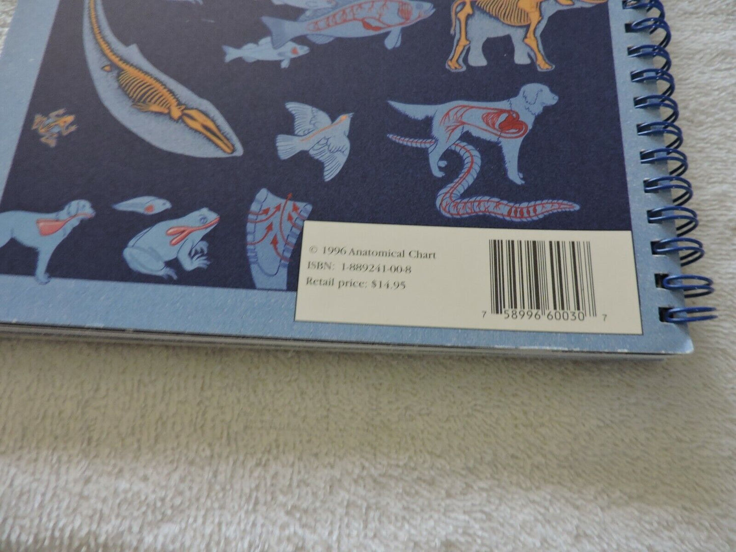 AN ILLUSTRATED ADVENTURE IN HUMAN ANATOMY KATE SWEENEY, 1996