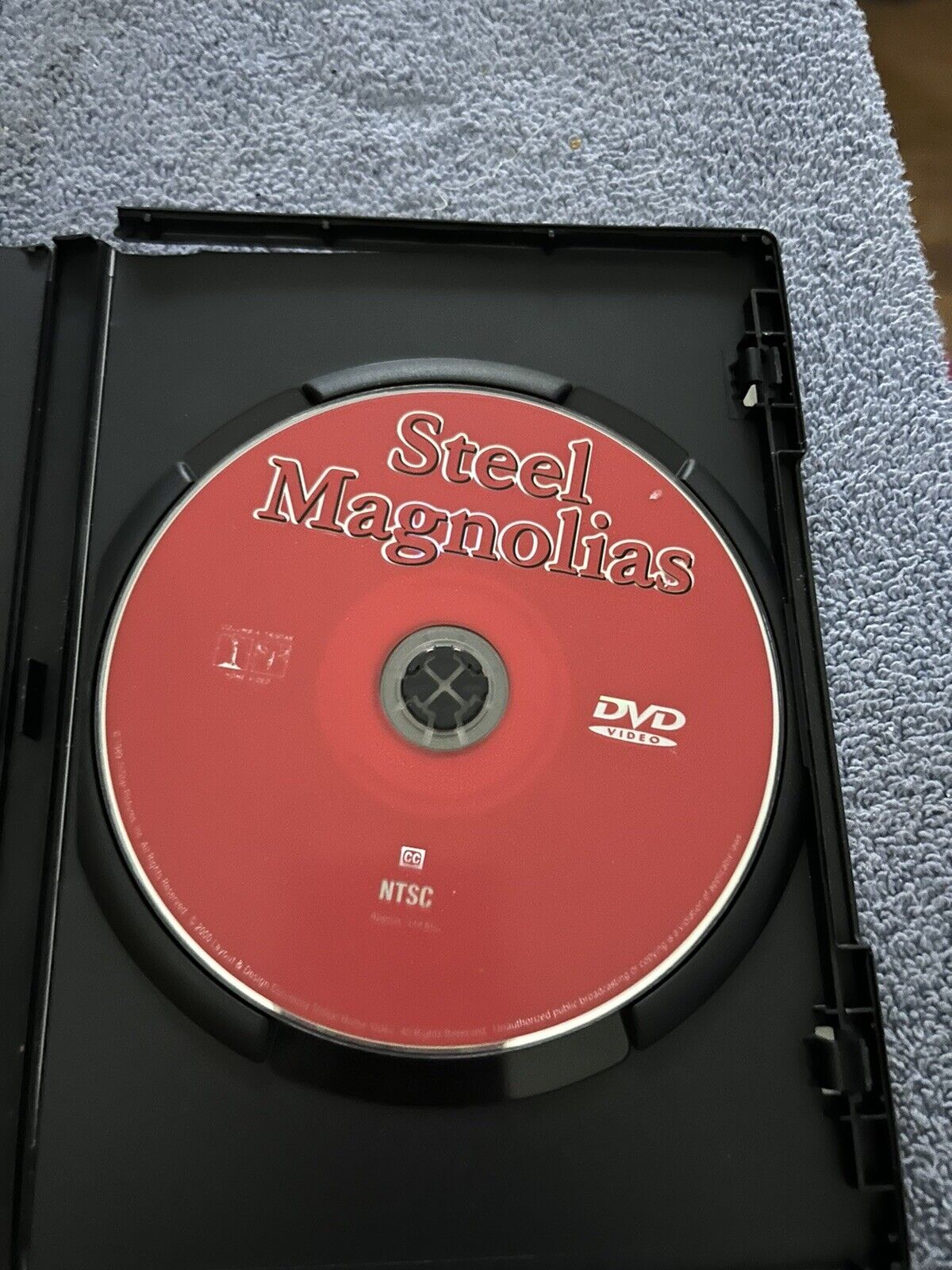 STEEL MAGNOLIAS:  SALLY FIELD, DOLLY PARTON, SHIRLEY MACLAINE, DARYL HANNAH