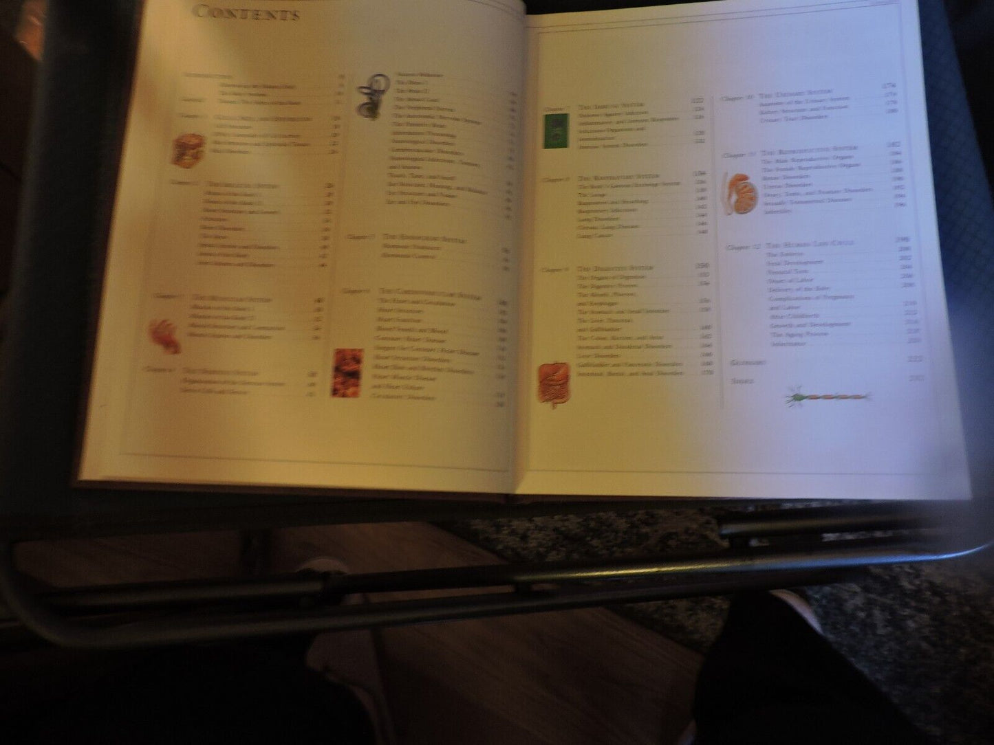 THE HUMAN BODY: A DORLING KINDERSLEY BOOK, 1995