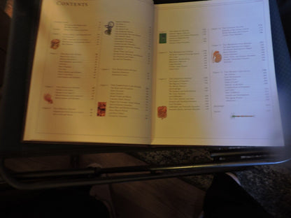 THE HUMAN BODY: A DORLING KINDERSLEY BOOK, 1995