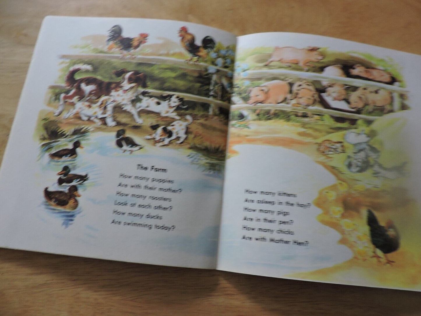 LITTLE GOLDEN BOOK AND A SPECIAL RECORD:  NUMBERS 1955