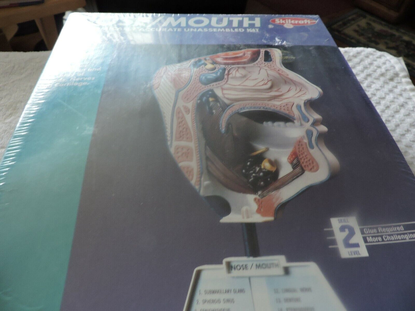 SKILCRAFT: NOSE/MOUTH ANATOMICALLY ACCURATE UNASSEMBLED  MODEL KIT-- NIB-- SKILL