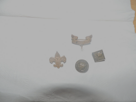 CUB SCOUT PINS--SET OF FOUR