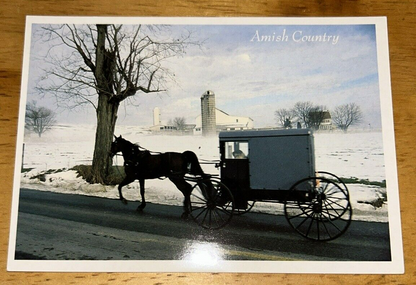 Postcard Unposted: Greetings From the Amish Country: BUGGY/SNOW