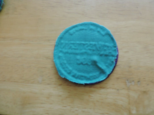 GIRL SCOUT DAY ON CAMPUS WESTERN WASHINGTON UNIVERSITY PATCH 3