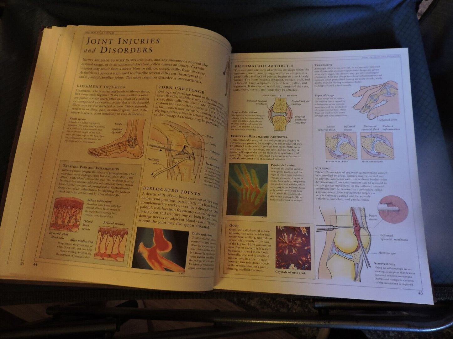 THE HUMAN BODY: A DORLING KINDERSLEY BOOK, 1995