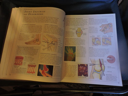 THE HUMAN BODY: A DORLING KINDERSLEY BOOK, 1995
